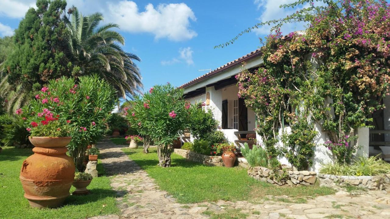 Villa La Liccia Misia Santa Teresa Gallura Exterior foto