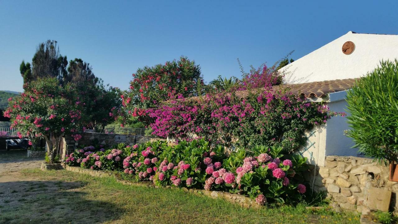 Villa La Liccia Misia Santa Teresa Gallura Exterior foto